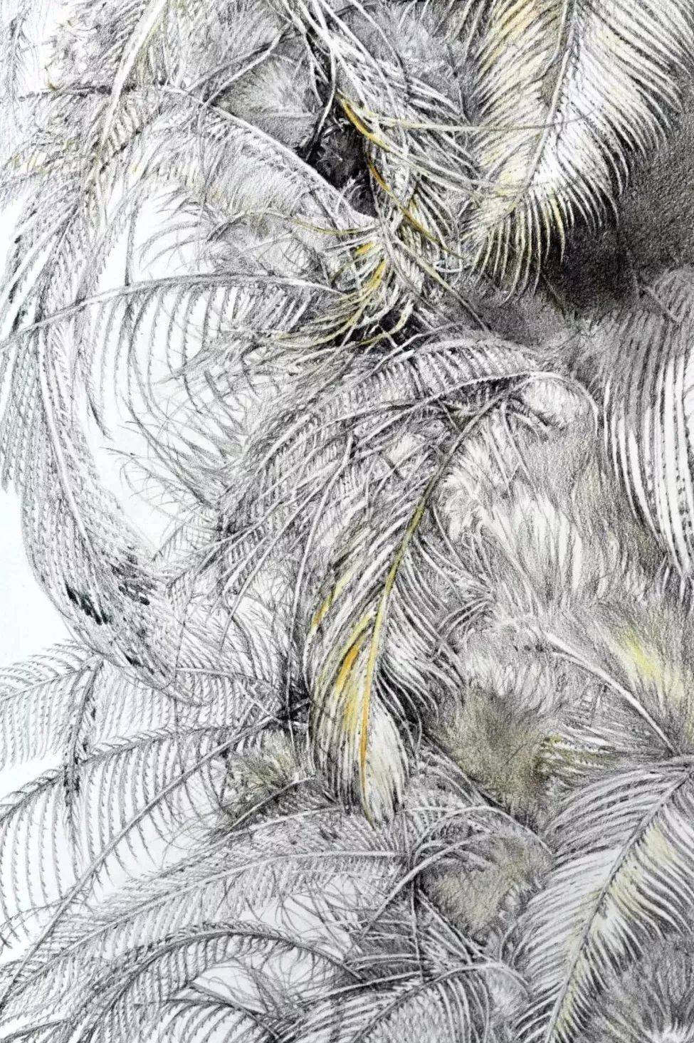 《鸡毛掸子》《笔袋子》《果实 ·蚕豆》《小手帕》《牵挂·油画棒》