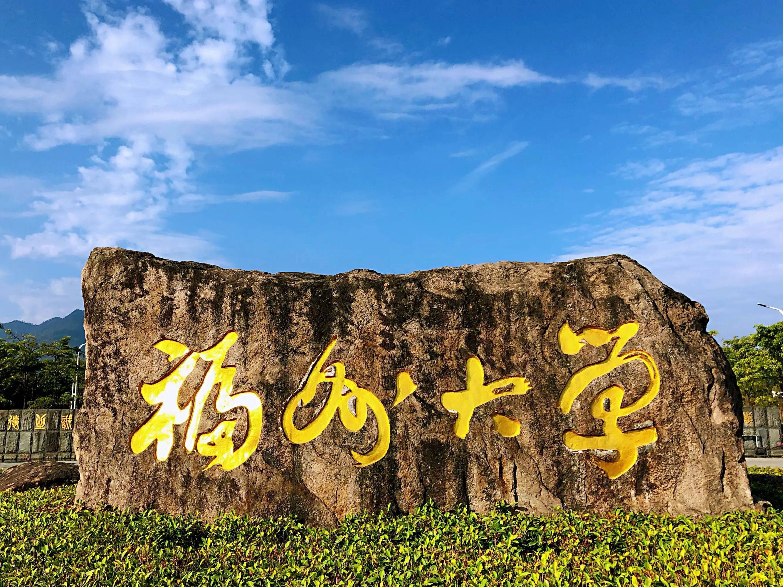 福州大学2024美术类招生简章 - 杭州纯一艺术培训有限公司